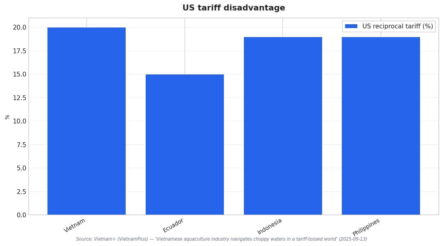 US tariff disadvantage